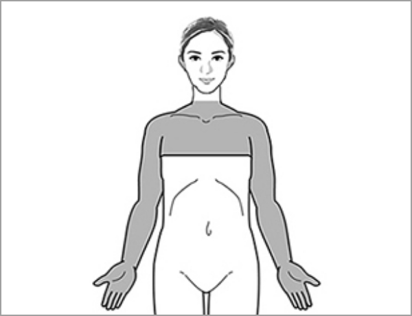 人体の胸から両手の先までを表す図
